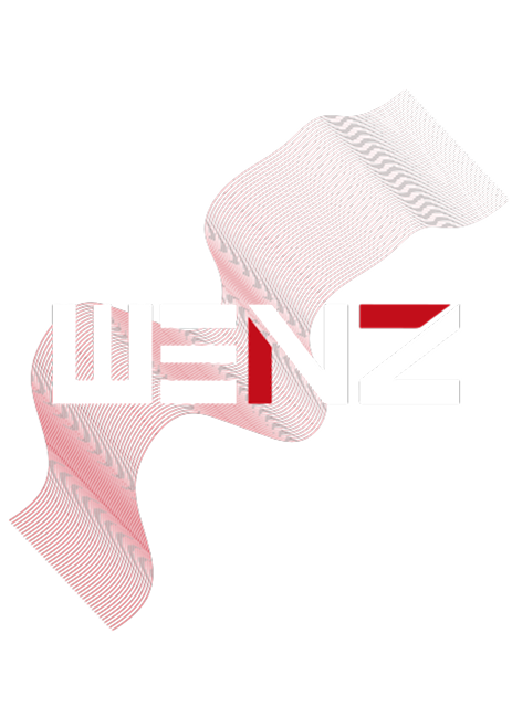 Steuerunge