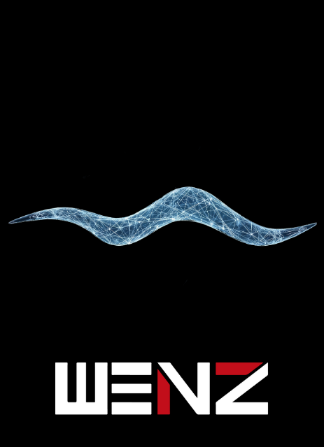 Wenz Steuerung